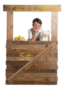 Smallholder selling lemons